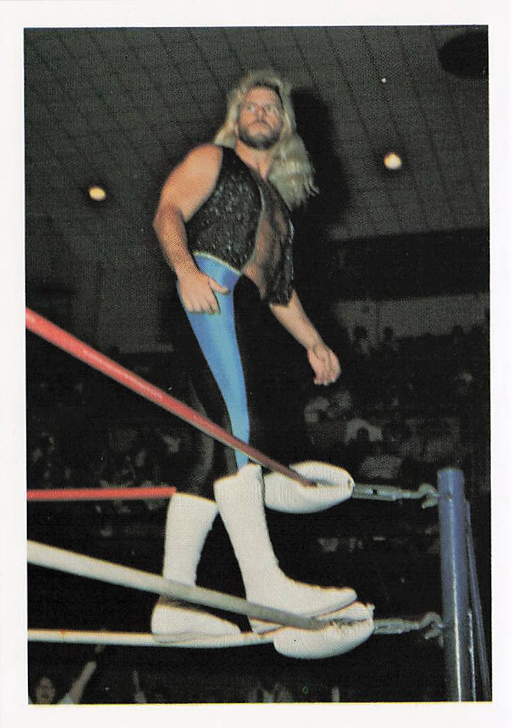 Michael Hayes wrestling card from 1988 Wonderama NWA Wrestling Cards by NECC, featuring a vintage wrestling collectible image.
