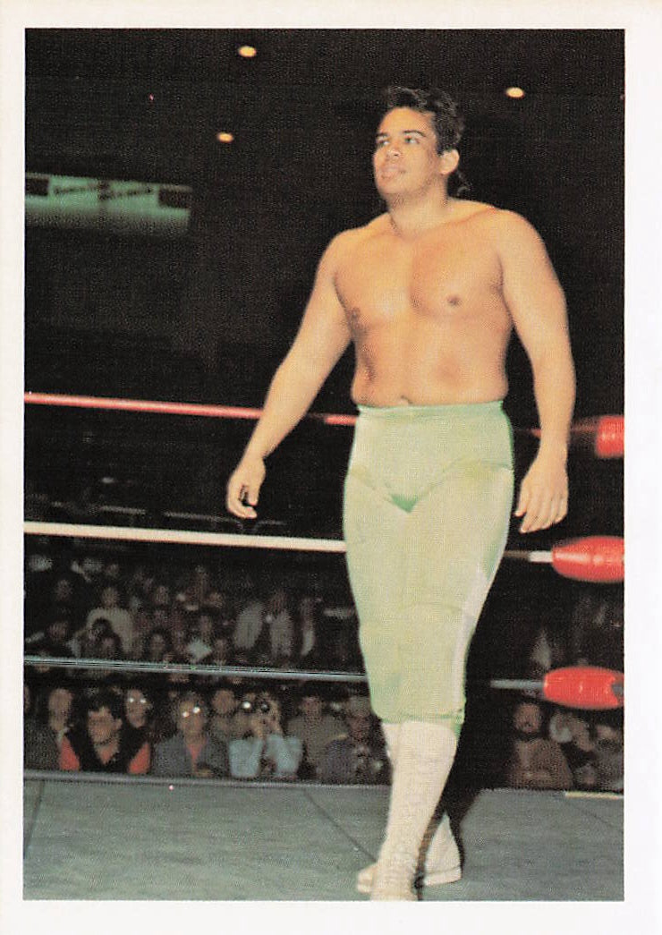 NECC Ricky Santana 1988 Wonderama NWA wrestling card #62 featuring Ricky Santana in a dynamic wrestling pose.