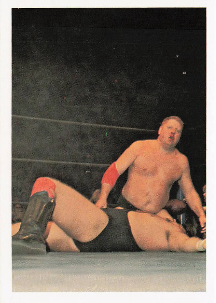 Dick Murdoch wrestling card from 1988 Wonderama NWA Wrestling Cards series by NECC, front view showing detailed artwork.