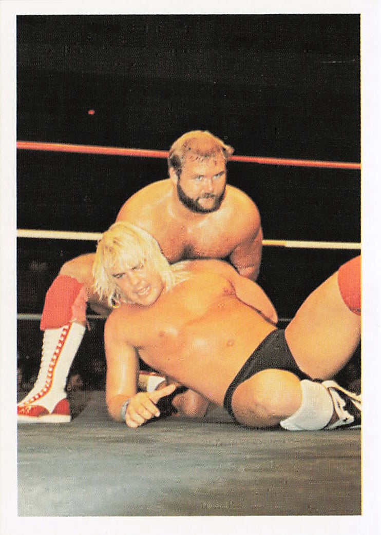 NWA wrestling card featuring Arn Anderson and Barry Windham from 1988 Wonderama, published by NECC.