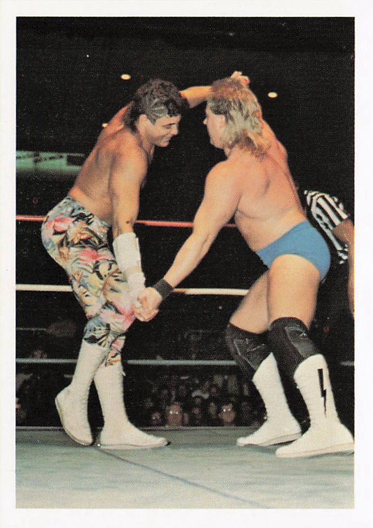 Tim Horner and Chris Champion wrestling card from 1988 Wonderama NWA Wrestling Cards series by NECC, front view.