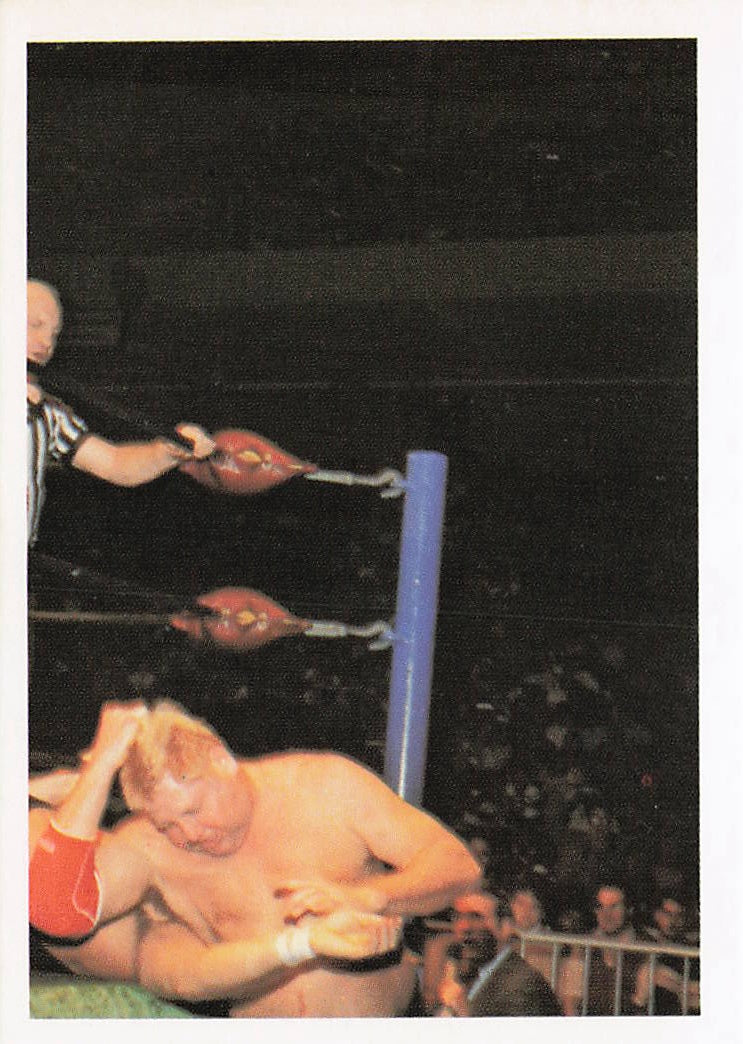 Dick Murdoch 1988 Wonderama NWA wrestling card #251 from NECC, featuring a color image of the wrestler in action.