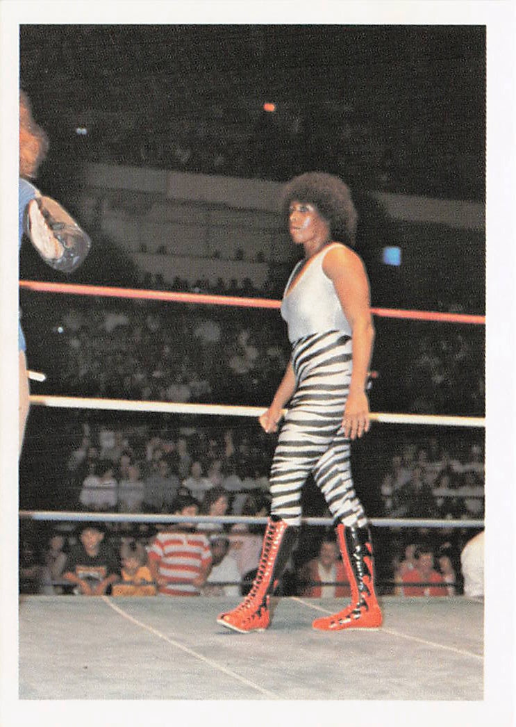 Venus wrestling card from Wonderama NWA series, 1988, produced by NECC, featuring detailed front image of the trading card.