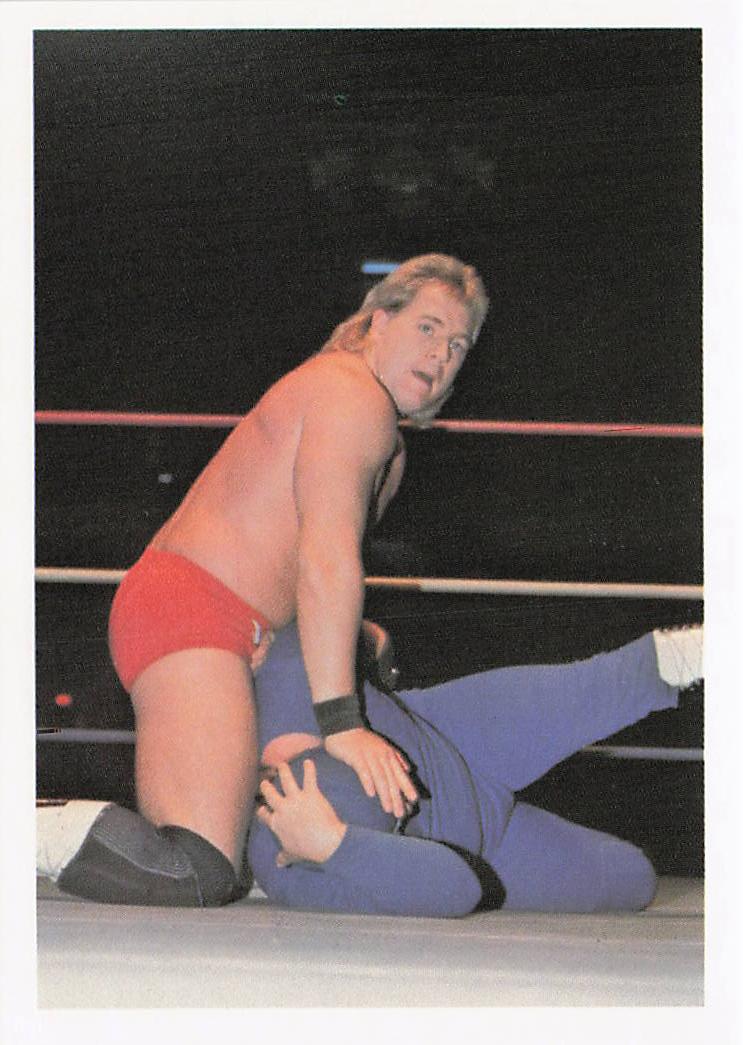 Tim Horner wrestling card from 1988 Wonderama NWA Wrestling Cards by NECC, featuring Tim Horner in action.