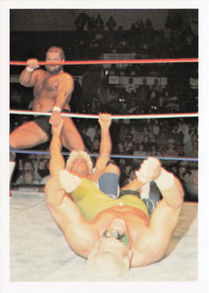 Ric Flair / Sting – 1988 Wonderama NWA Wrestling Card #48