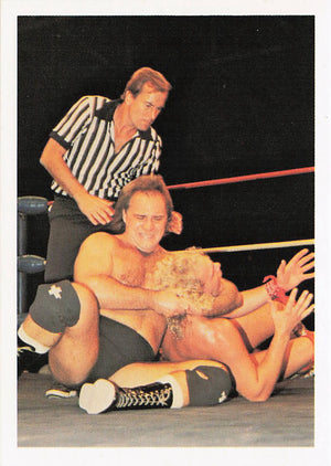 Larry Zbyszko / Kendall Windham – 1988 Wonderama NWA Wrestling Card #34