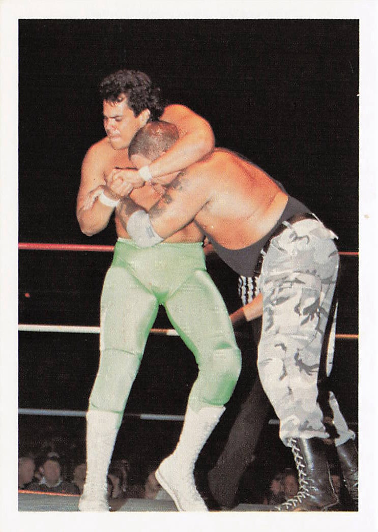 NECC Ricky Santana 1988 Wonderama NWA wrestling card #32 featuring wrestler in action pose with colorful background.
