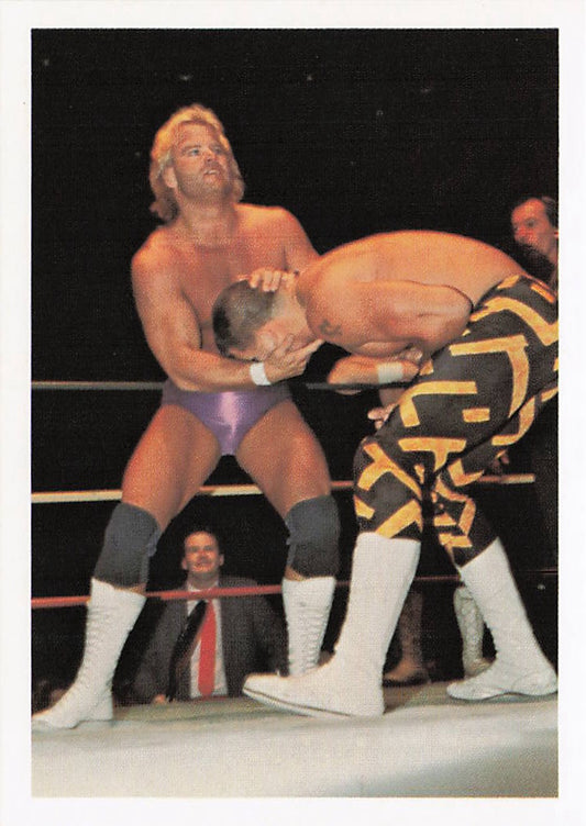 NECC wrestling card featuring Stan Lane vs. Sean Royal from 1988 Wonderama NWA Wrestling Card #31, front view with action scene