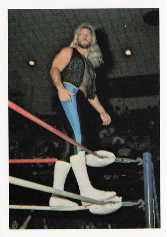 Michael Hayes wrestling card from 1988 Wonderama NWA Wrestling Cards by NECC, featuring a vintage wrestling collectible image.