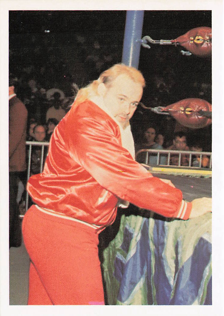 Kevin Sullivan 1988 Wonderama NWA Wrestling Card #91, NECC wrestling collectible card featuring Kevin Sullivan in action.