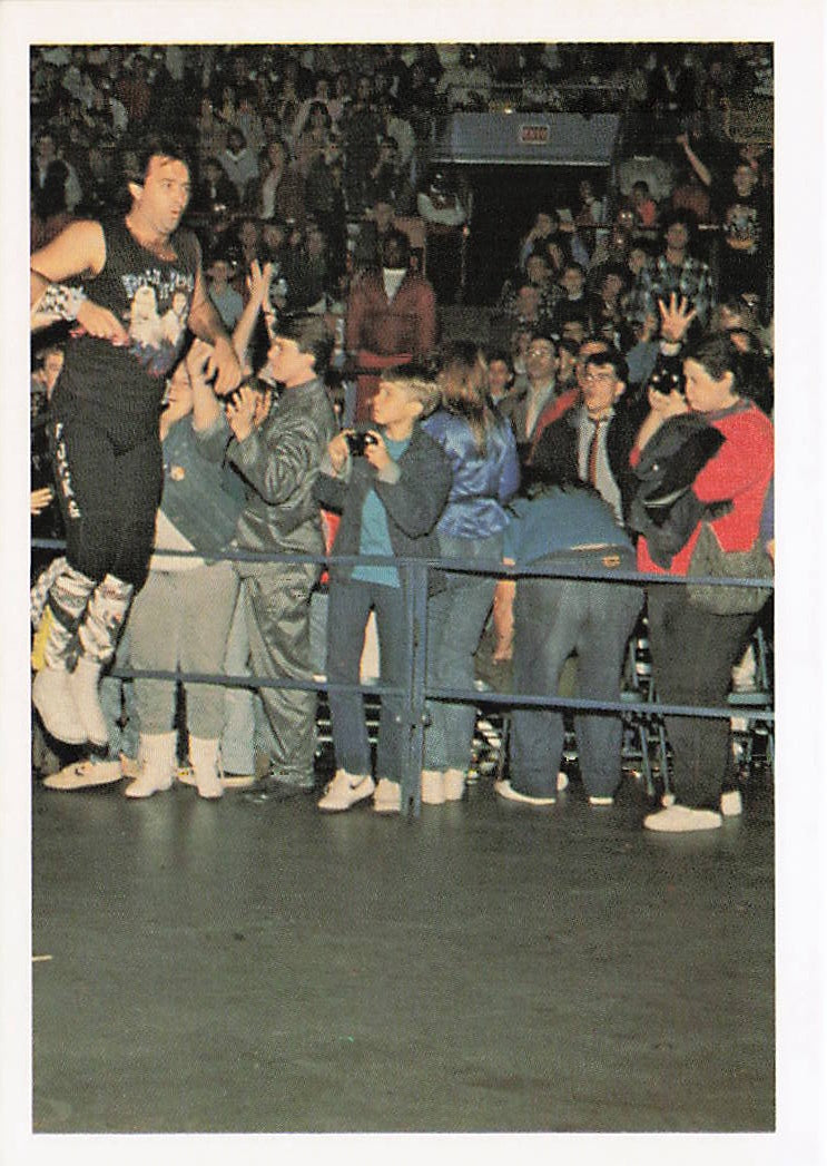 NECC Robert Gibson 1988 Wonderama NWA wrestling card #86 featuring wrestler Robert Gibson in action.