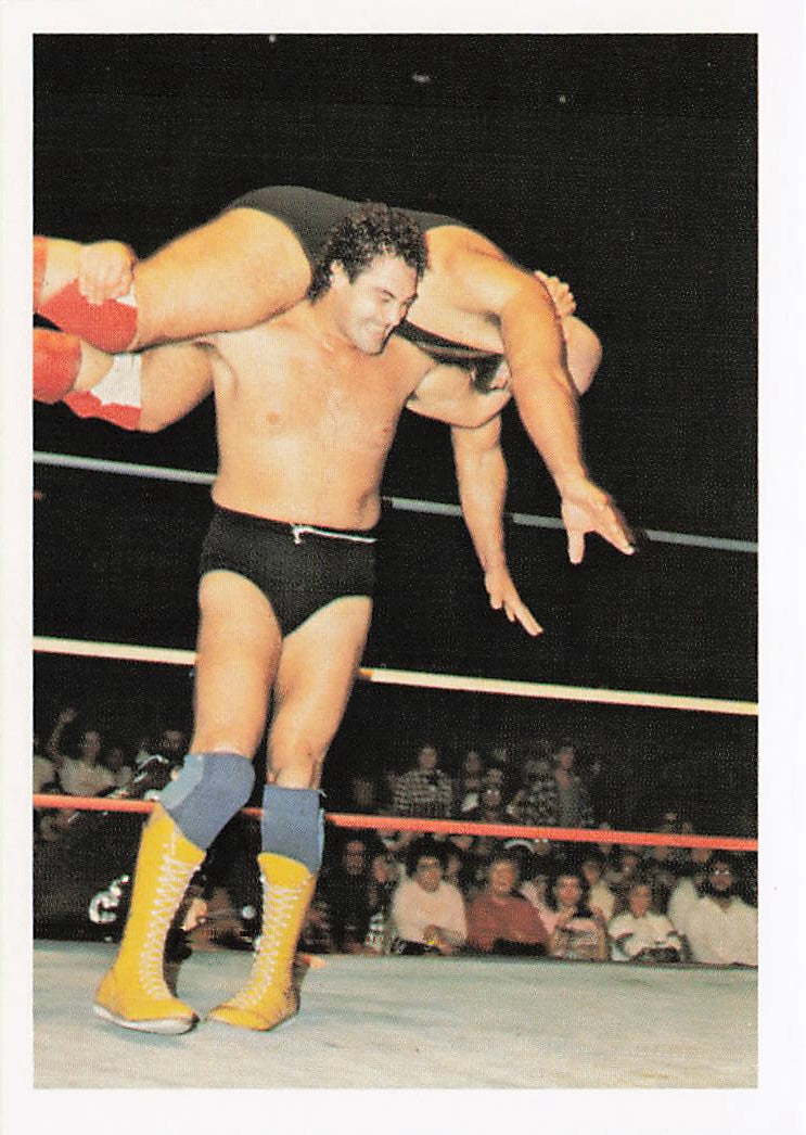 Mike Rotunda 1988 Wonderama NWA Wrestling Card #76, NECC wrestling card featuring vintage wrestling performer.