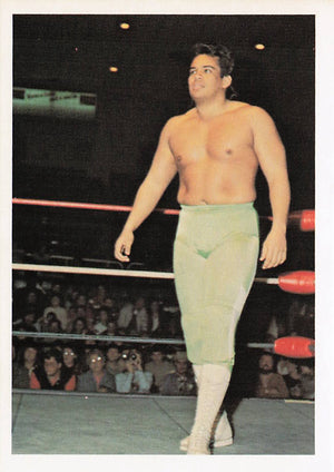 Ricky Santana – 1988 Wonderama NWA Wrestling Card #62