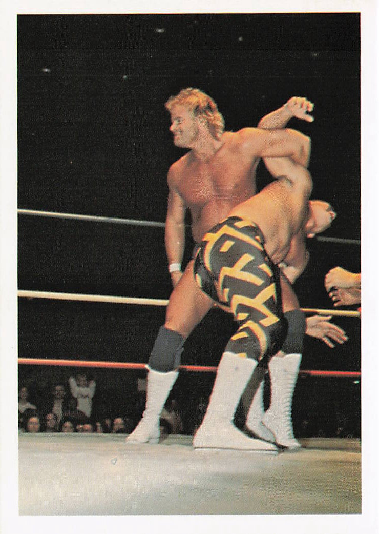 NECC wrestling card featuring Stan Lane vs. Sean Royal from the 1988 Wonderama NWA Wrestling Card #60, front view.