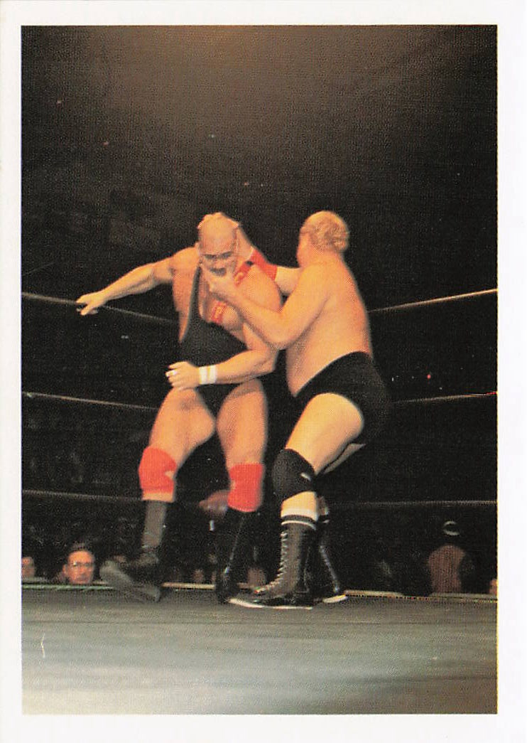 Dick Murdoch 1988 Wonderama NWA wrestling card #125 by NECC, featuring wrestler in a dynamic pose on the front.
