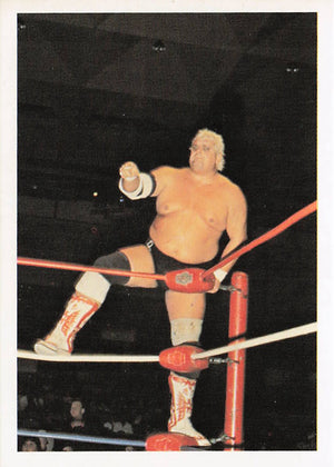 Dusty Rhodes – 1988 Wonderama NWA Wrestling Card #120