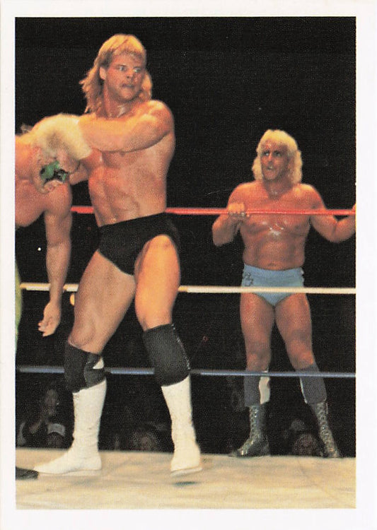 NECC wrestling card featuring Lex Luger and Sting from 1988 Wonderama NWA Wrestling Cards collection.