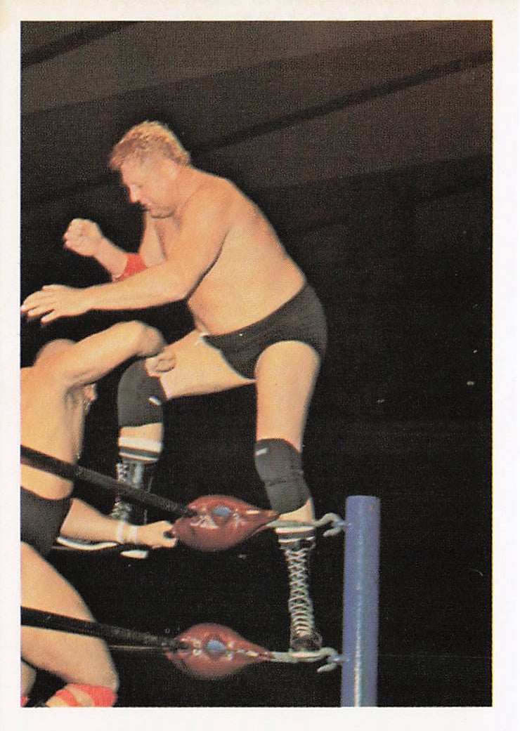NECC wrestling card featuring Dick Murdoch from 1988 Wonderama NWA Wrestling Card #110, front view of the collectible sports card