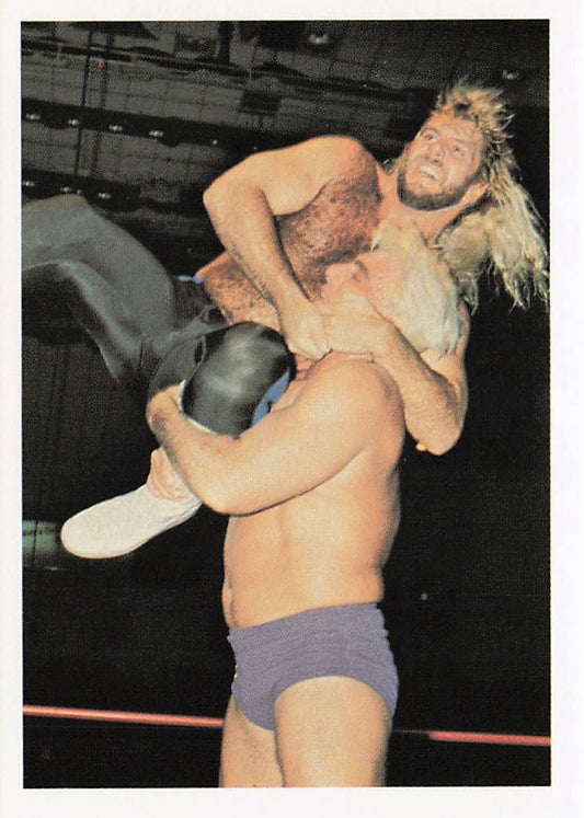 NECC wrestling card featuring Michael Hayes and Ric Flair from 1988 Wonderama NWA Wrestling Cards series.