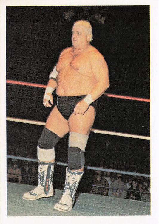 Dusty Rhodes wrestling card from 1988 Wonderama NWA Wrestling Cards series by NECC, featuring Dusty Rhodes in action.