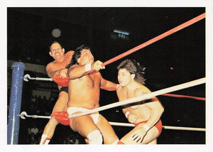 Denny Brown / Nelson Royal – 1988 Wonderama NWA Wrestling Card #189
