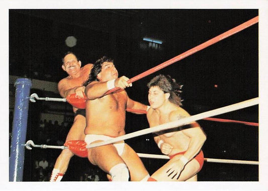 Front of NECC Wonderama NWA Wrestling Card #189 featuring Denny Brown and Nelson Royal from 1988 wrestling cards.