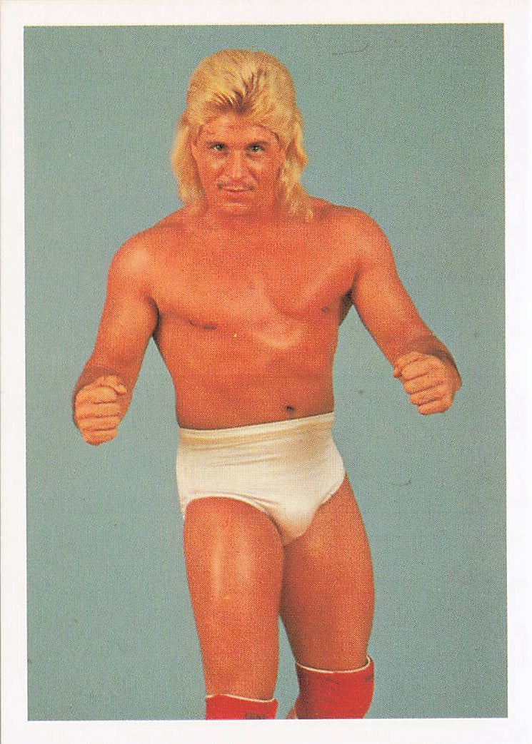 NECC Cougar Jay 1988 Wonderama NWA Wrestling Card #185 featuring wrestling action and vibrant team logo design.