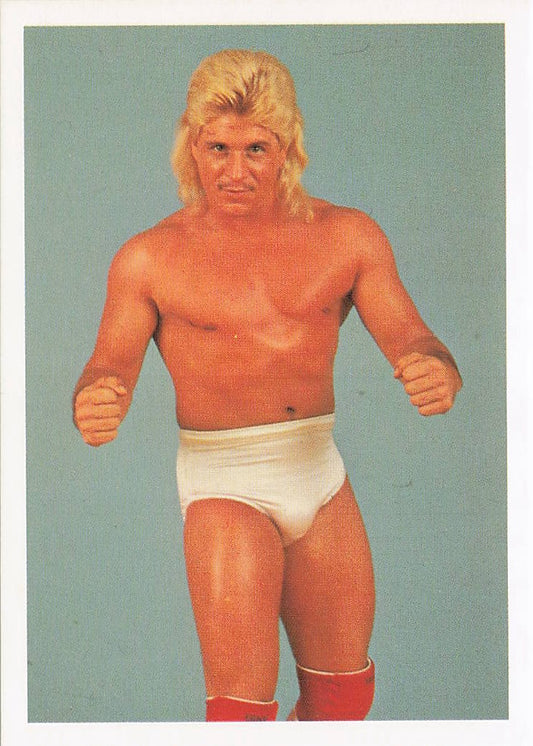 NECC Cougar Jay 1988 Wonderama NWA Wrestling Card #185 featuring wrestling action and vibrant team logo design.