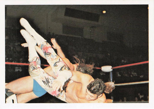 Chris Champion 1988 Wonderama NWA wrestling card #180 from NECC, featuring a full-color image of the wrestler.
