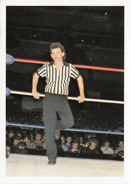 Front of NECC Pee Wee Anderson 1988 Wonderama NWA Wrestling Card #176 featuring wrestler Pee Wee Anderson in a classic pose.