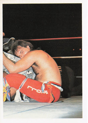 Robert Gibson – 1988 Wonderama NWA Wrestling Card #174