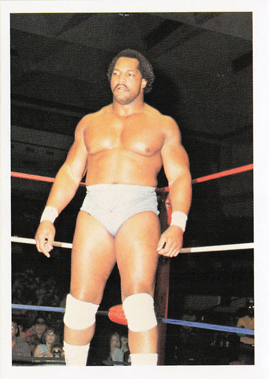 Ron Simmons 1988 Wonderama NWA Wrestling Card #173, NECC wrestling trading card featuring Ron Simmons in action.
