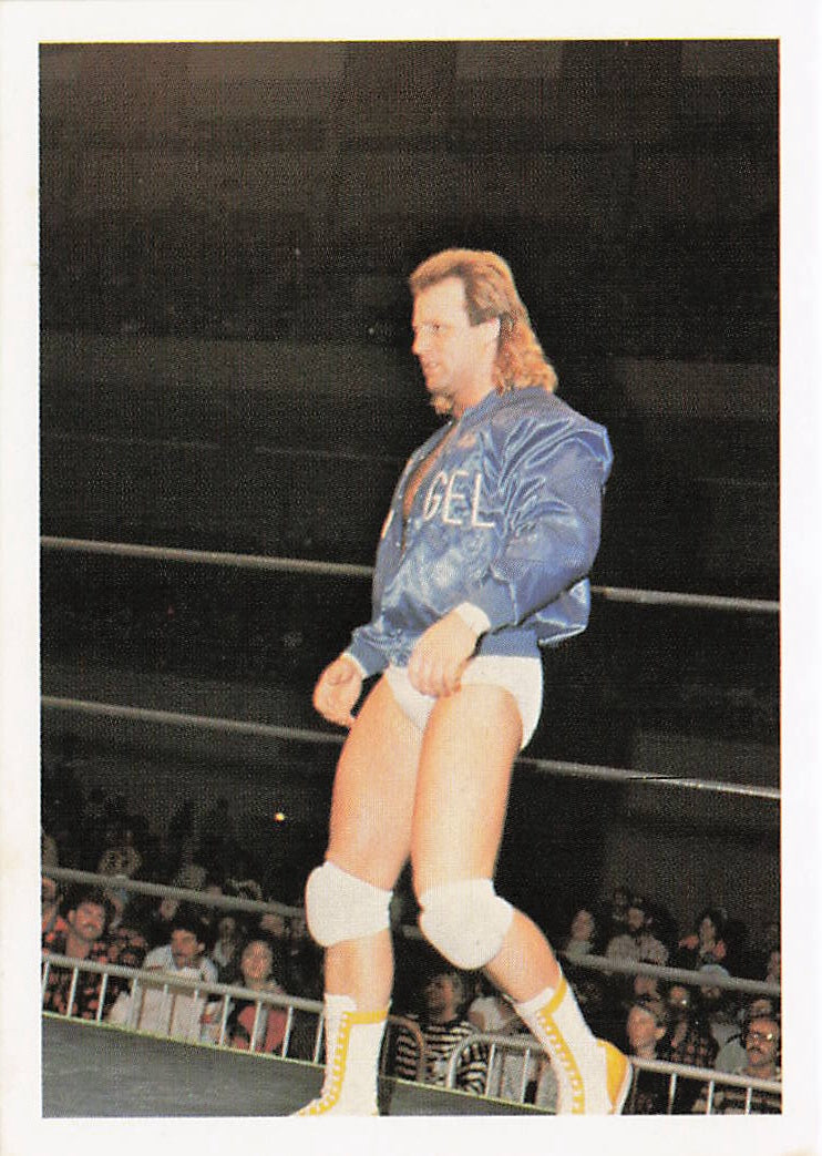 Tommy Angel 1988 Wonderama NWA Wrestling Card #168 from NECC, front view showcasing wrestling action and card details.