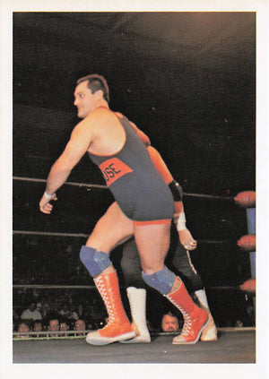 Mike Rotunda – 1988 Wonderama NWA Wrestling Card #167