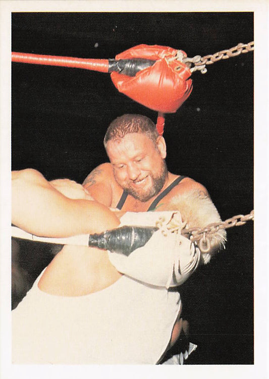 NECC Luke Williams 1988 Wonderama NWA wrestling card #163 showing Luke Williams in wrestling attire.