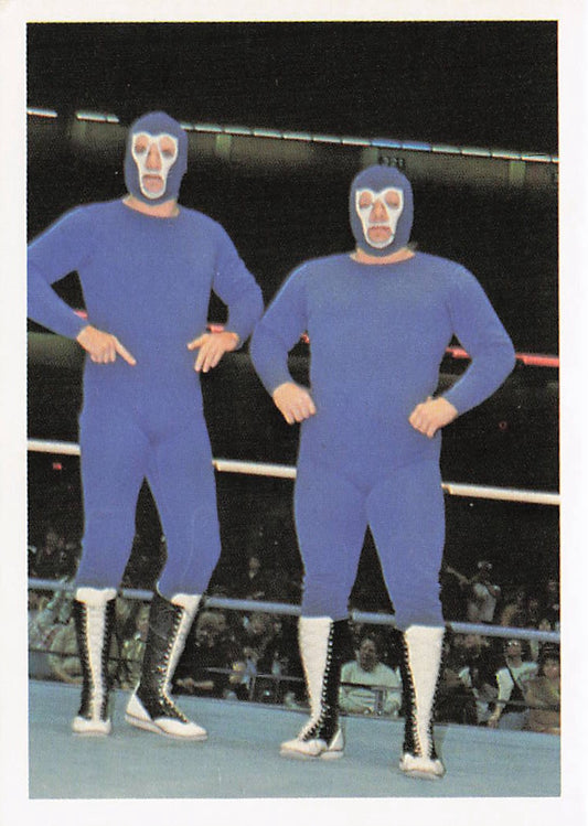 NECC Gladiators 1 & 1988 Wonderama NWA Wrestling Card #156 featuring vintage wrestling action and classic design.