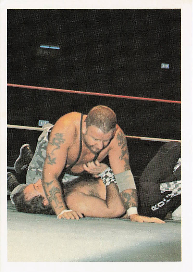Close-up of Luke Williams 1988 Wonderama NWA Wrestling Card #150 from NECC, showing detailed front design and wrestler image.