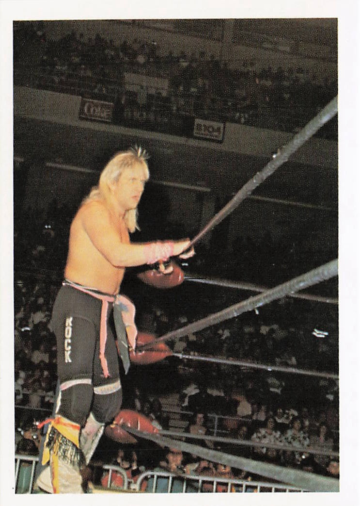 Wrestling card featuring Ricky Morton from 1988 Wonderama NWA Wrestling, NECC collectible card with vibrant action image.