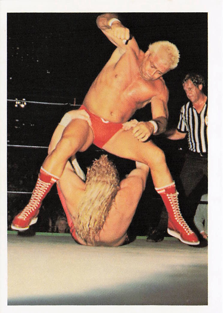 Ron Garvin wrestling card from 1988 Wonderama NWA Wrestling Cards series, card #148, produced by NECC.