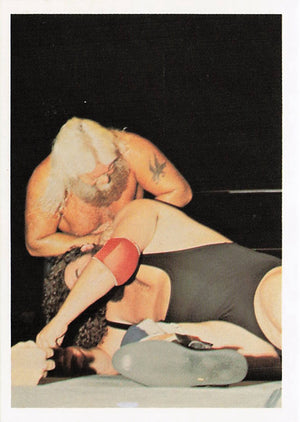 Jimmy Valiant – 1988 Wonderama NWA Wrestling Card #146
