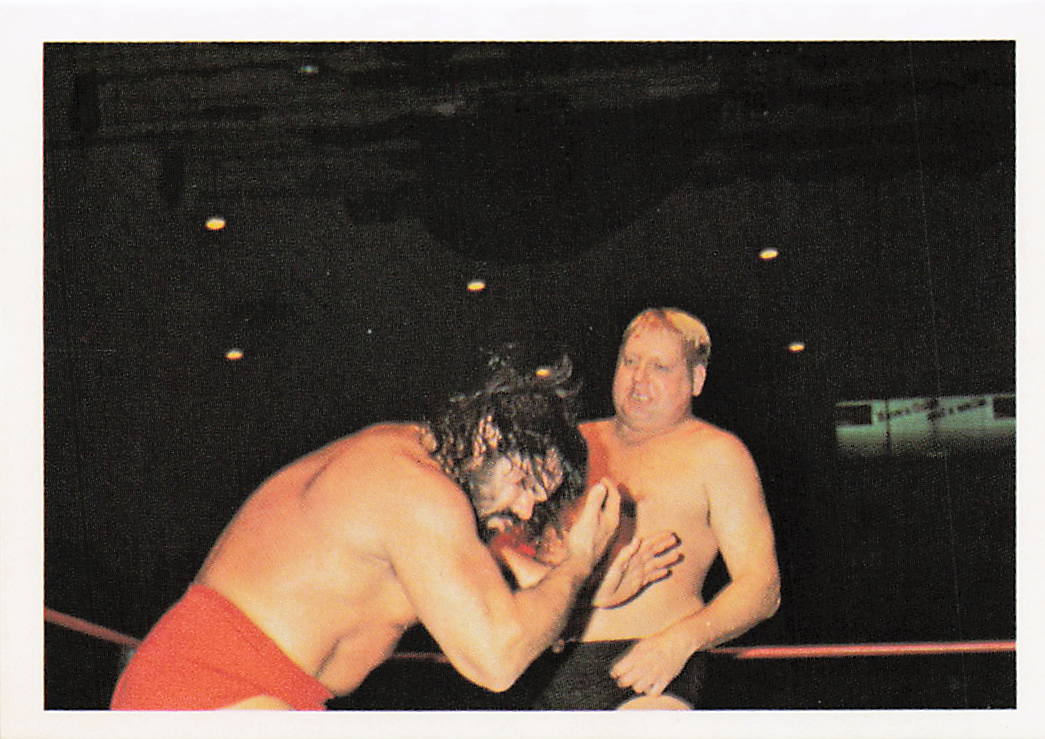 Wrestling card featuring Dick Murdoch and Steve Williams from the 1988 Wonderama NWA Wrestling Card series by NECC.