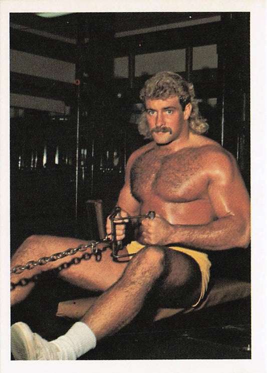 NECC wrestling card featuring Magnum T.A. from 1988 Wonderama NWA Wrestling Card #139, front view showing detailed artwork and branding.