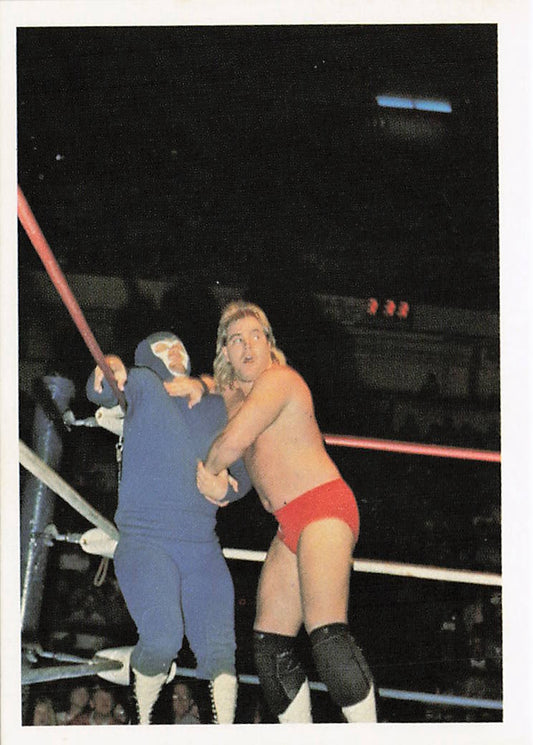 NECC wrestling card featuring Tim Horner vs. Gladiator from 1988 Wonderama NWA Wrestling Card #137, front view.