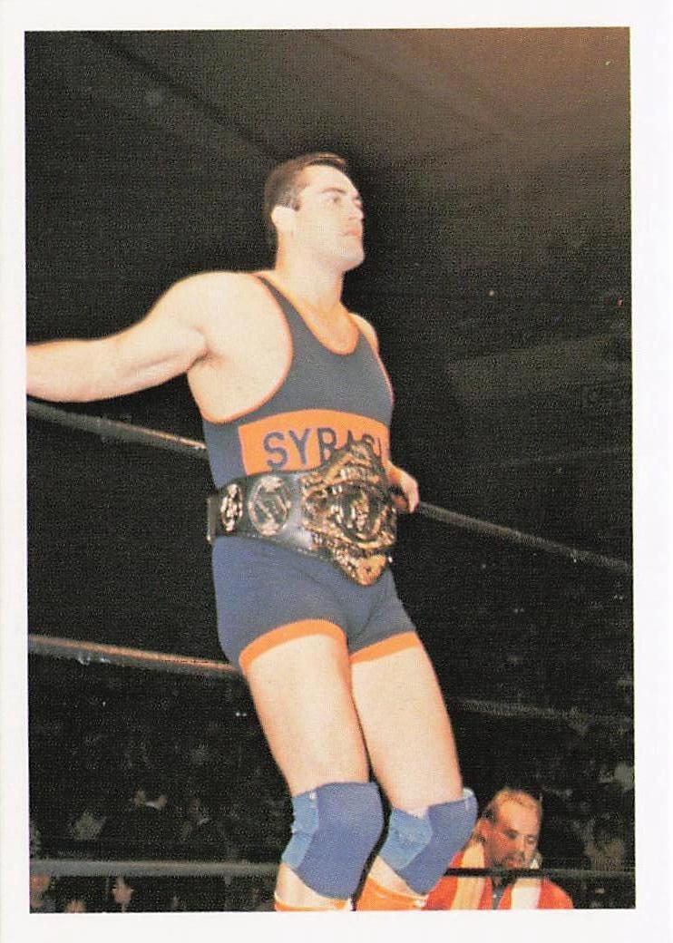 NECC wrestling card featuring Mike Rotunda from 1988 Wonderama NWA Wrestling Card #230, front view with colorful design