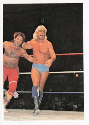 Ric Flair vs Robert Gibson – 1988 Wonderama NWA Wrestling Card #227