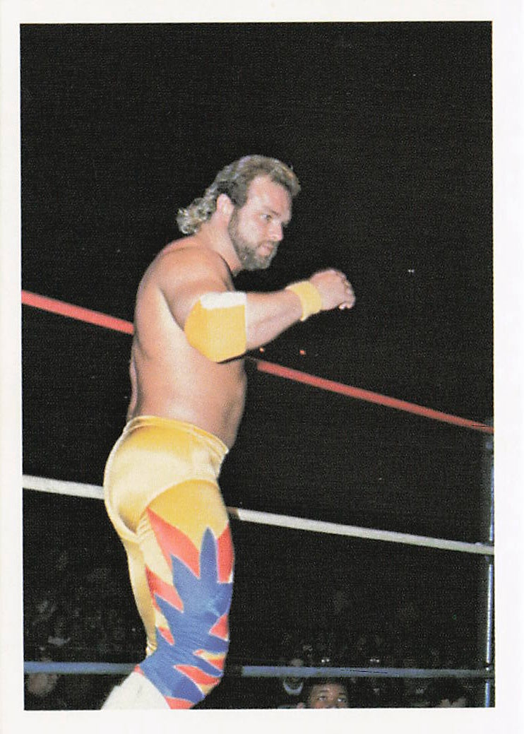 Eddie Gilbert NWA Wrestling Card 1988 Wonderama #226 from NECC, front view showing wrestler's portrait and card details.