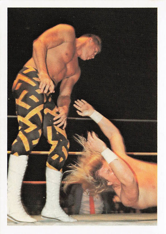 NECC Sean Royal 1988 Wonderama NWA Wrestling Card #224 featuring wrestler in action on front side of collectible wrestling card