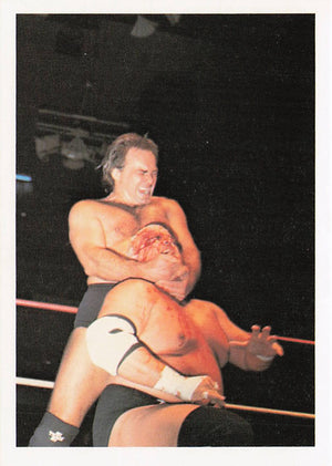 Larry Zbyszko / Dusty Rhodes – 1988 Wonderama NWA Wrestling Card #223