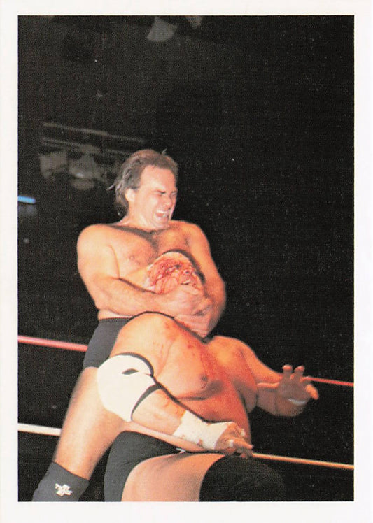 Front of NECC wrestling card featuring Larry Zbyszko and Dusty Rhodes from the 1988 Wonderama NWA Wrestling Card #223.