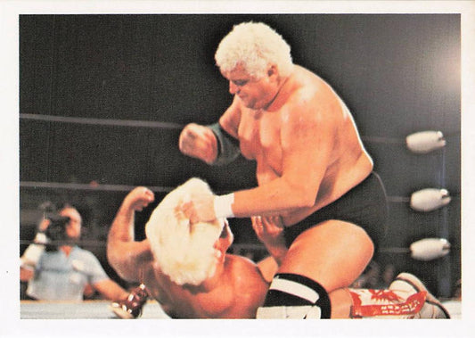 Wrestling card featuring Dusty Rhodes and Ric Flair from 1988 Wonderama NWA Wrestling Card #219 by NECC.